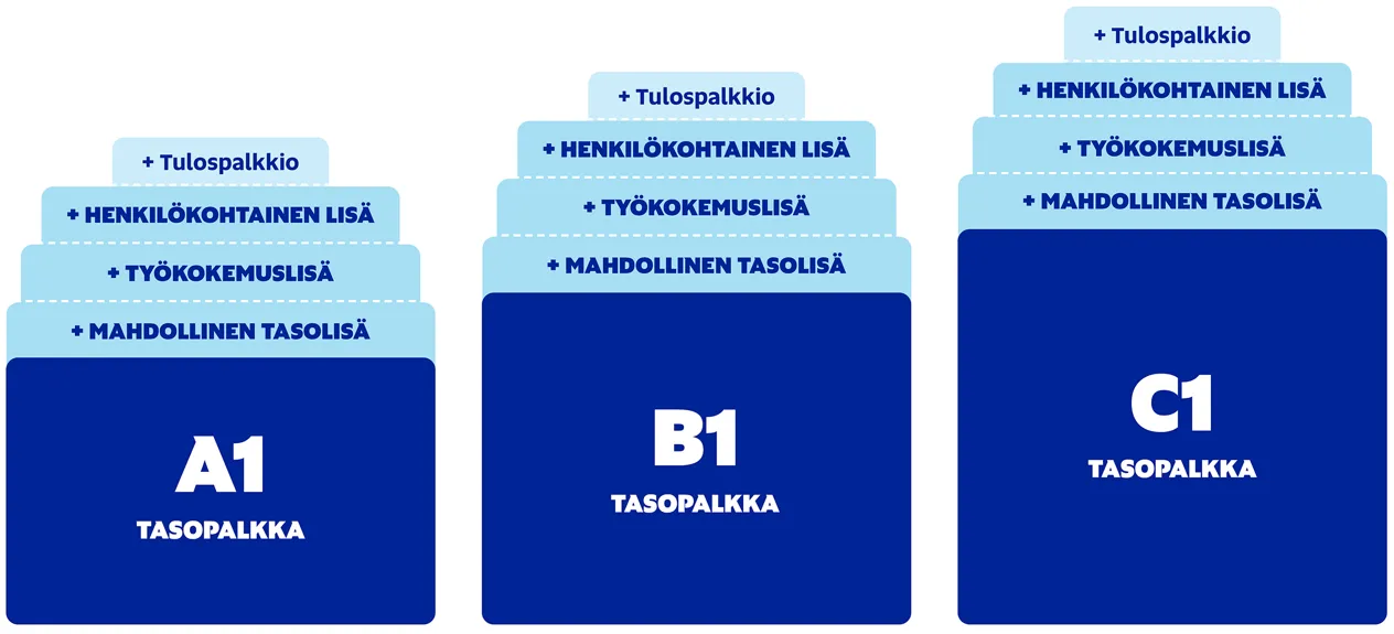Tasopalkkausjärjestelmä kvtes liite 5 esitettynä graafisessa muodossa. Sama asia tekstinä tällä sivulla.